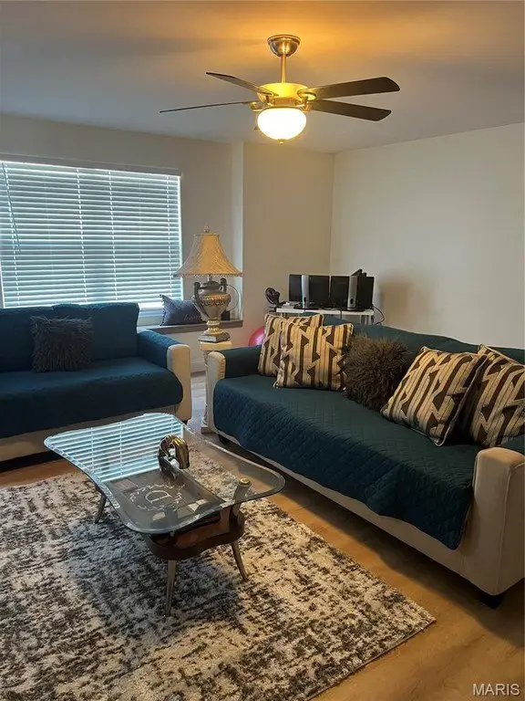 Picture 20