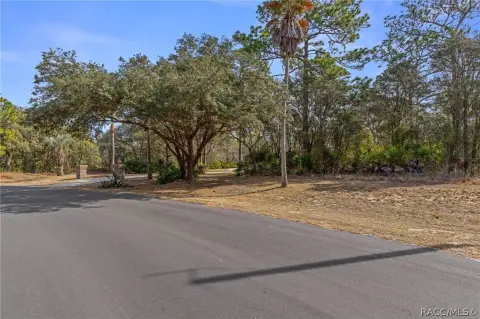 Spacious Homesite in Pine Ridge Estates