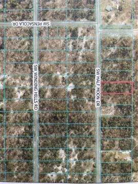 Wooded Lot in Rainbow Lakes