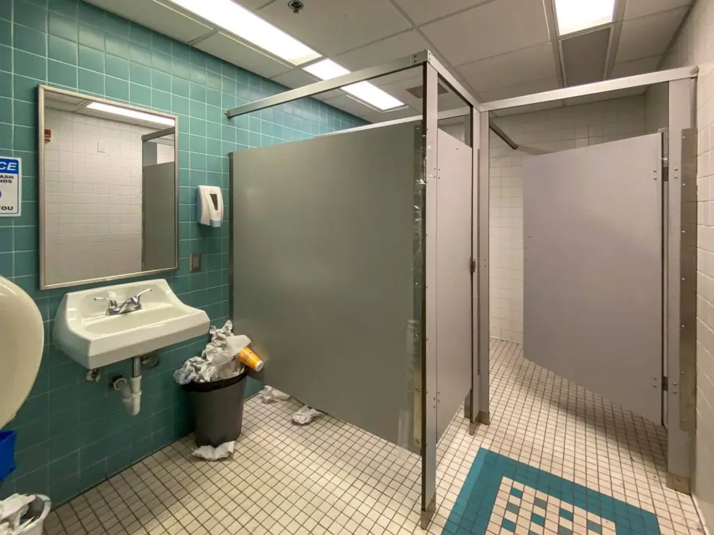 Picture 19