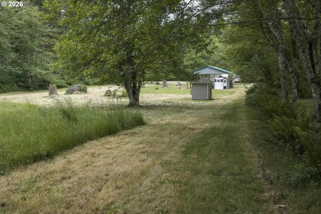Picture 41