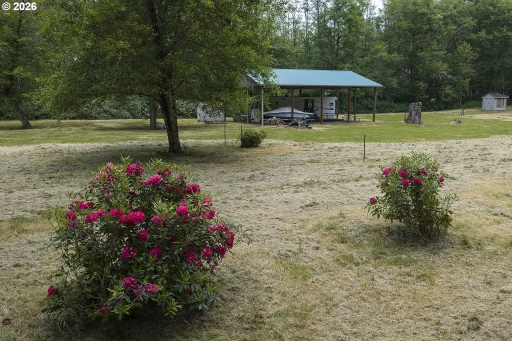 Picture 15