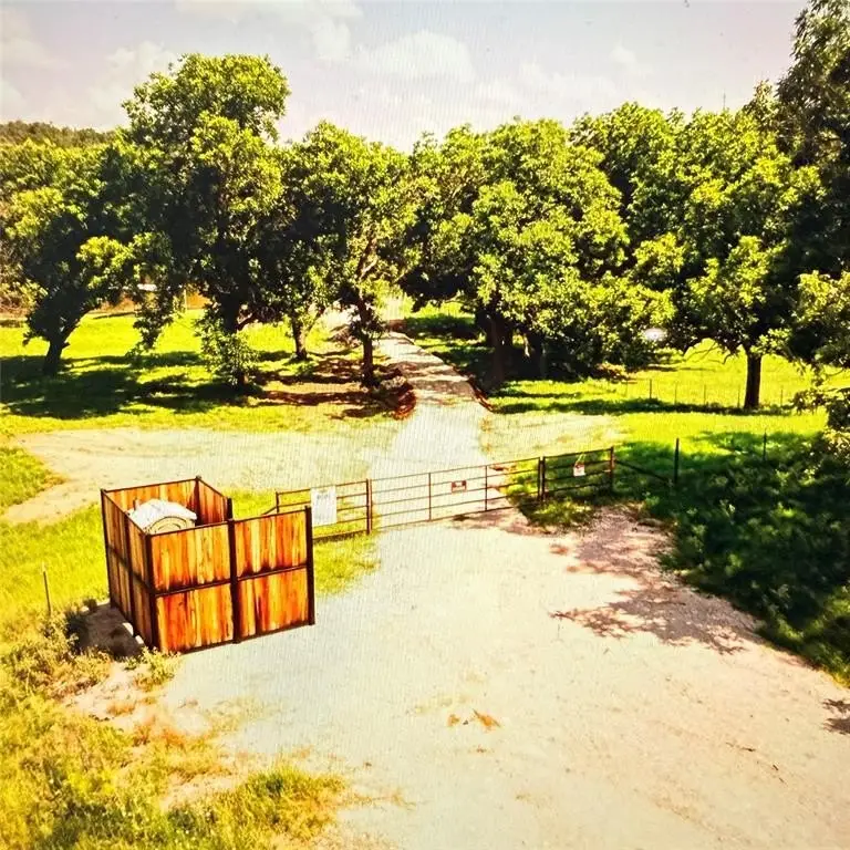 Picture 7