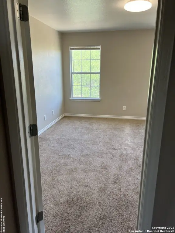 Picture 20