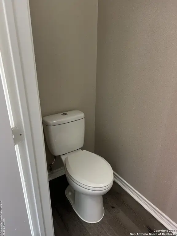 Picture 21