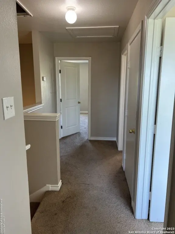Picture 29