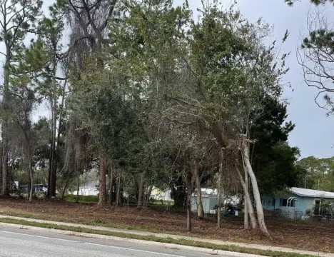St Augustine Land For Sale