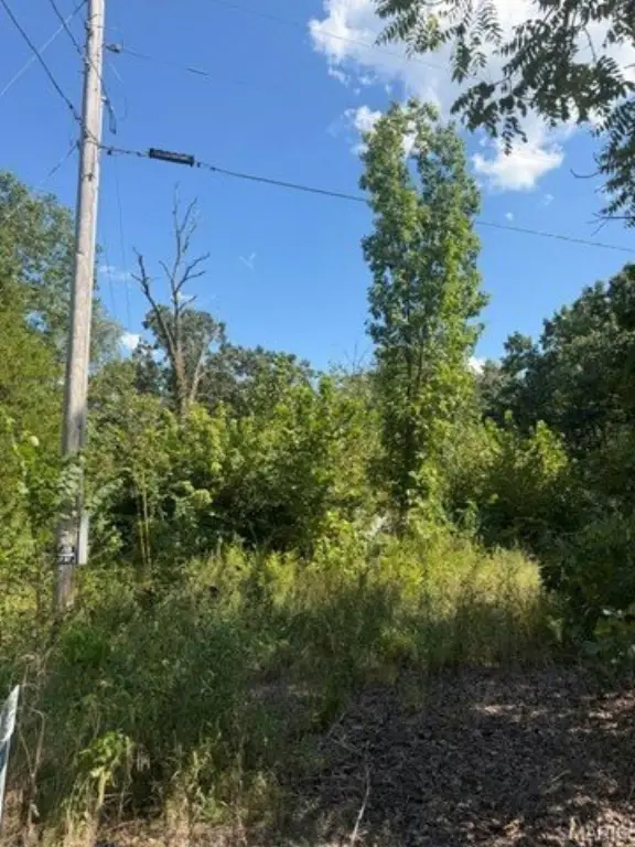 Picture 3