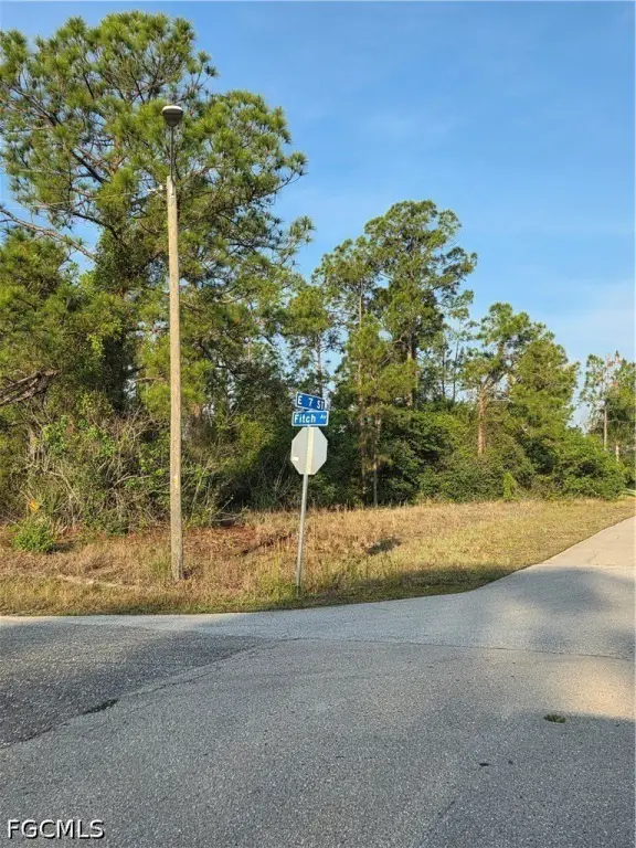 Picture 6