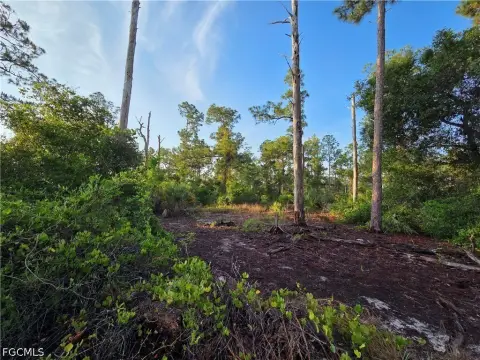 Residential Lot in Lehigh Acres