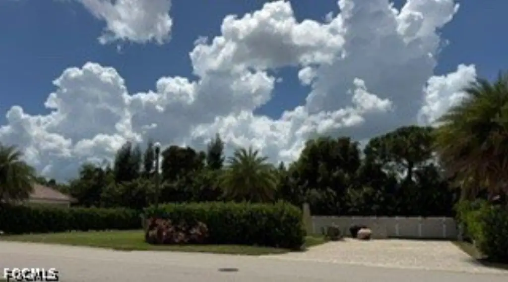 Picture 4