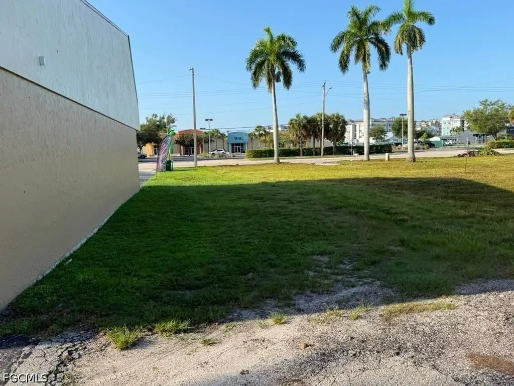 Picture 8