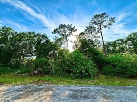 Lehigh Acres Half Acre Lot