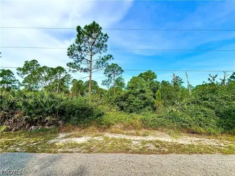 Lehigh Acres Half Acre Land