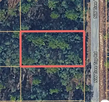 Residential Lot Near Rainbow Springs