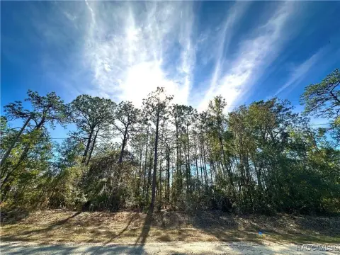 Buildable Lot in Citrus Springs