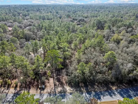 Citrus Hills Acreage for Sale