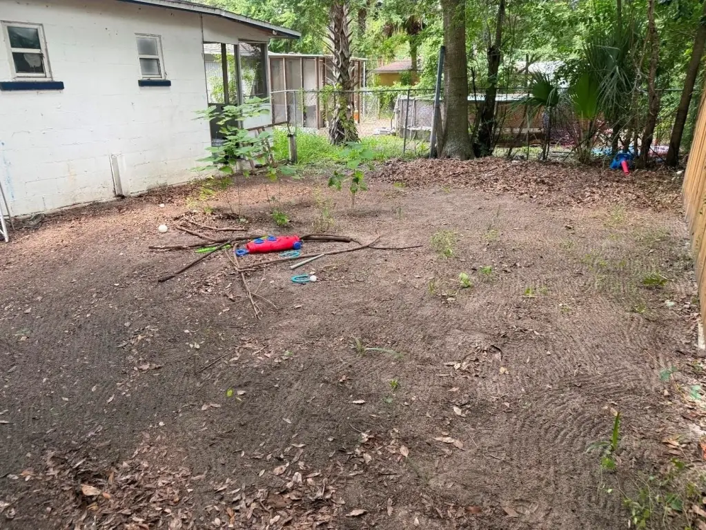 Picture 11