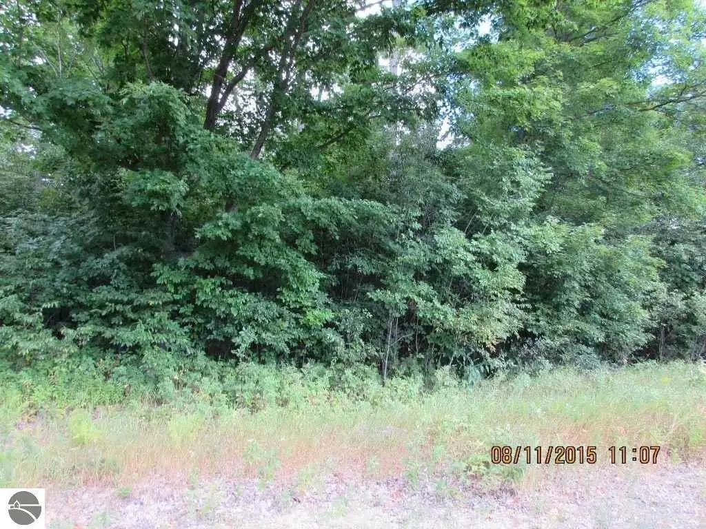 Picture 5