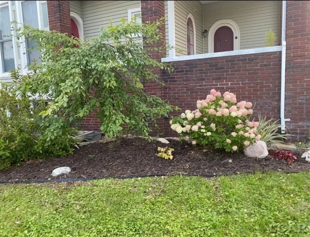 Picture 20