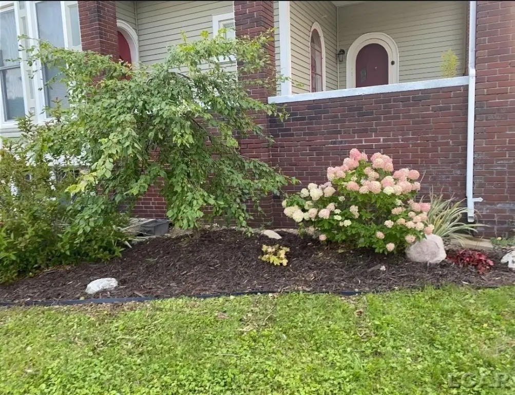Picture 15