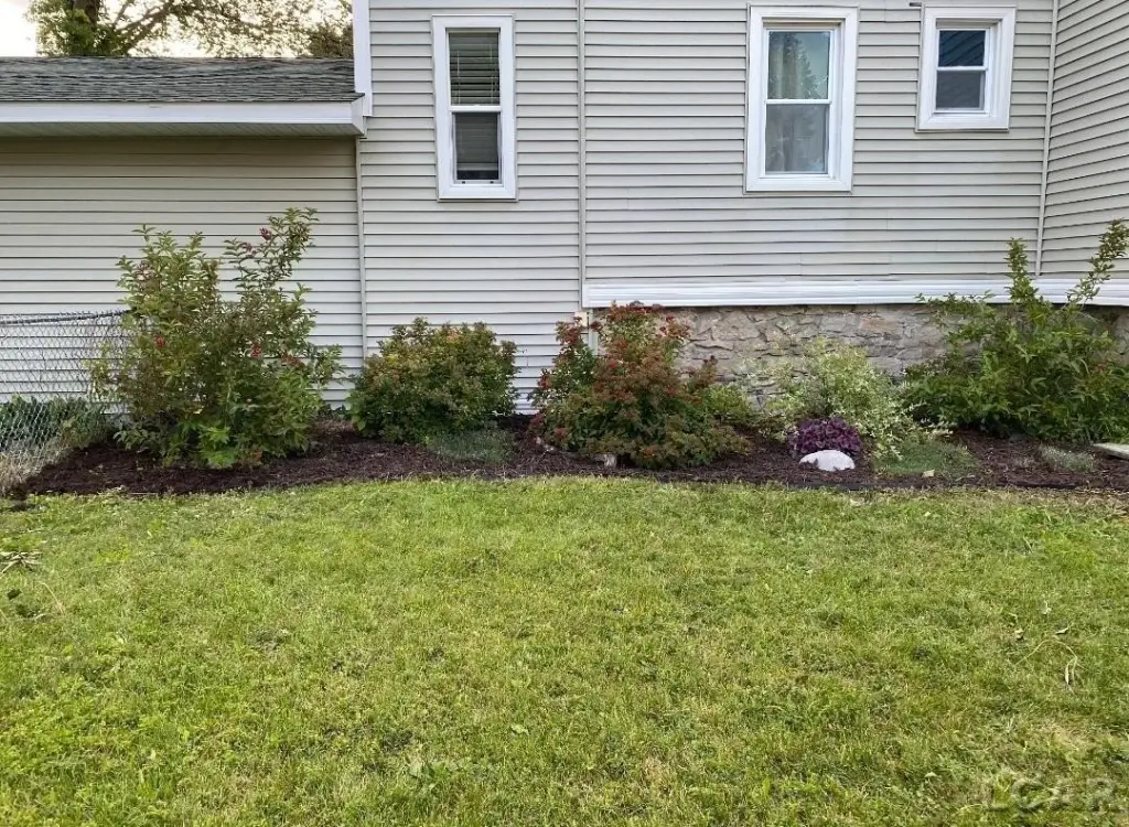Picture 14