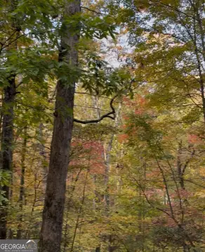 Land in Ball Ground, GA