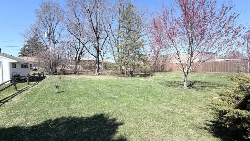 Picture 10