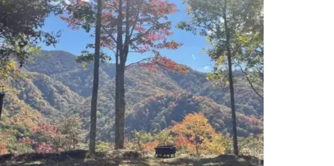 Mountain View Land with Cabin