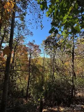 Land in Wildwood Heights