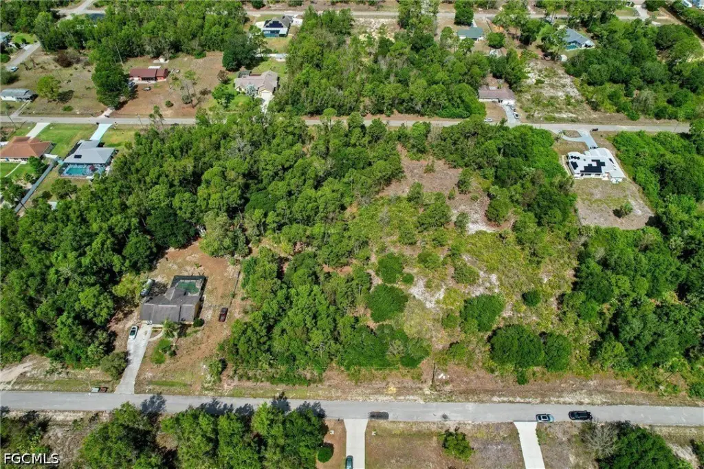 Picture 8