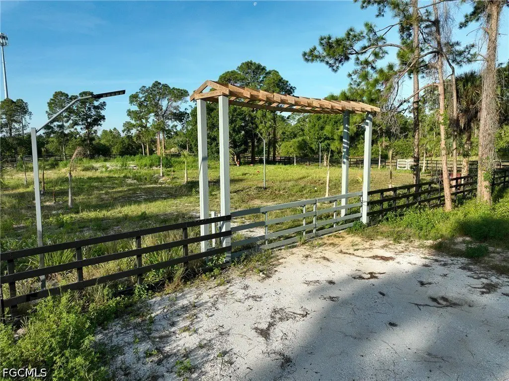 Picture 6