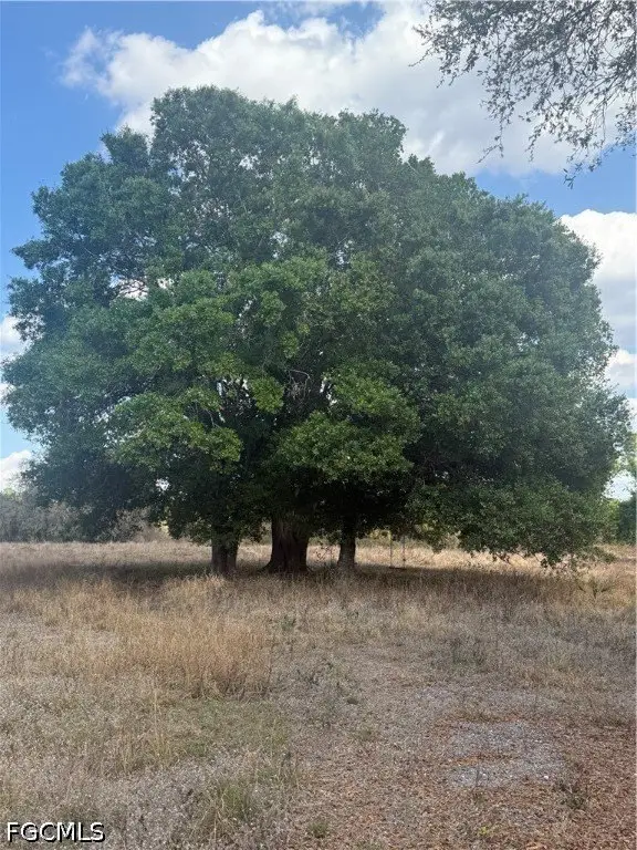 Picture 12