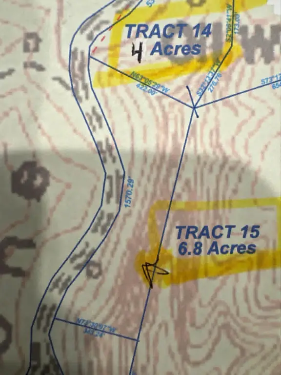 Picture 4
