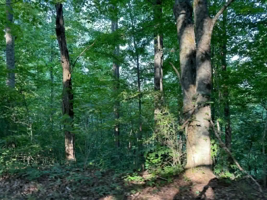 Picture 3