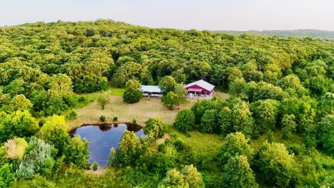 Hunting Land with Cabin