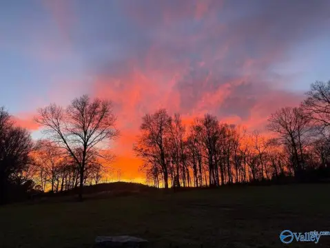 Guntersville Acreage Near Lake
