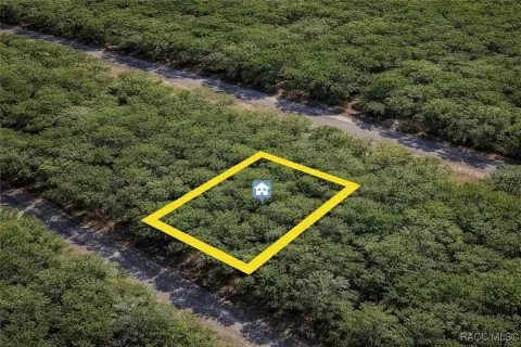 Citrus Springs Residential Lot