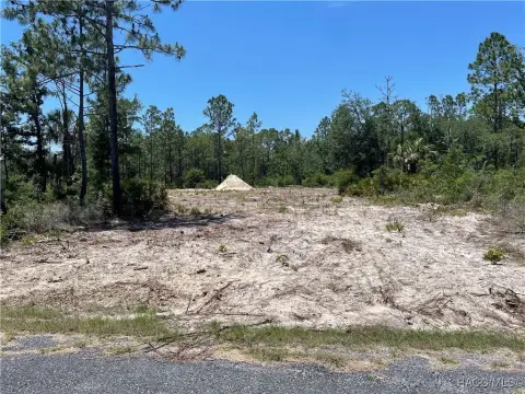 Crystal River 1.11-Acre Lot