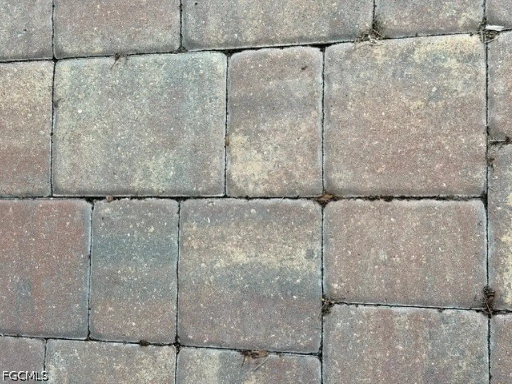 Picture 23