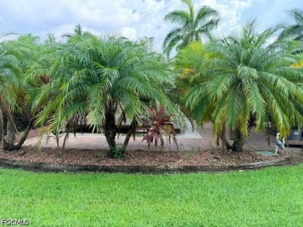 Picture 25