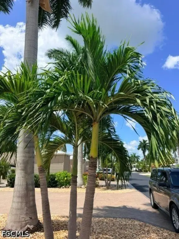 Picture 27