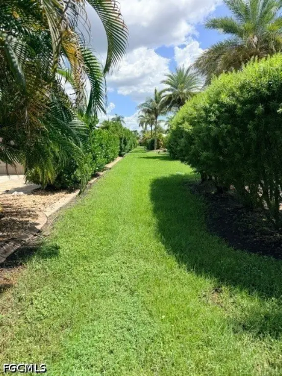 Picture 24