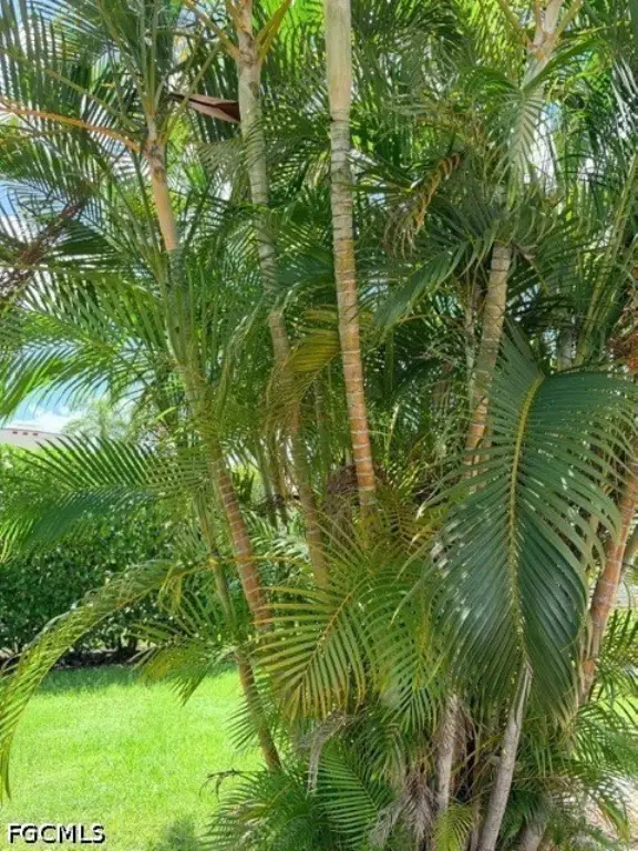 Picture 8