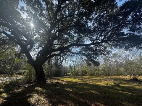 Residential Lot in Picayune, MS