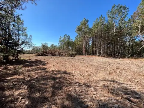 Cleared Lot Ready For Building