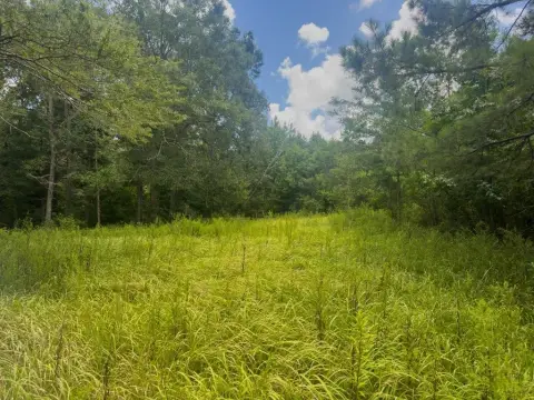 Poplarville Vacant Land For Sale