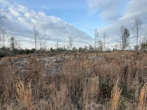 Poplarville Land Parcel For Sale
