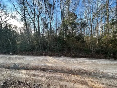 Poplarville Wooded Land For Sale