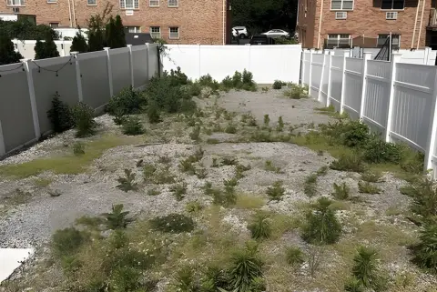 Development Opportunity in Baychester